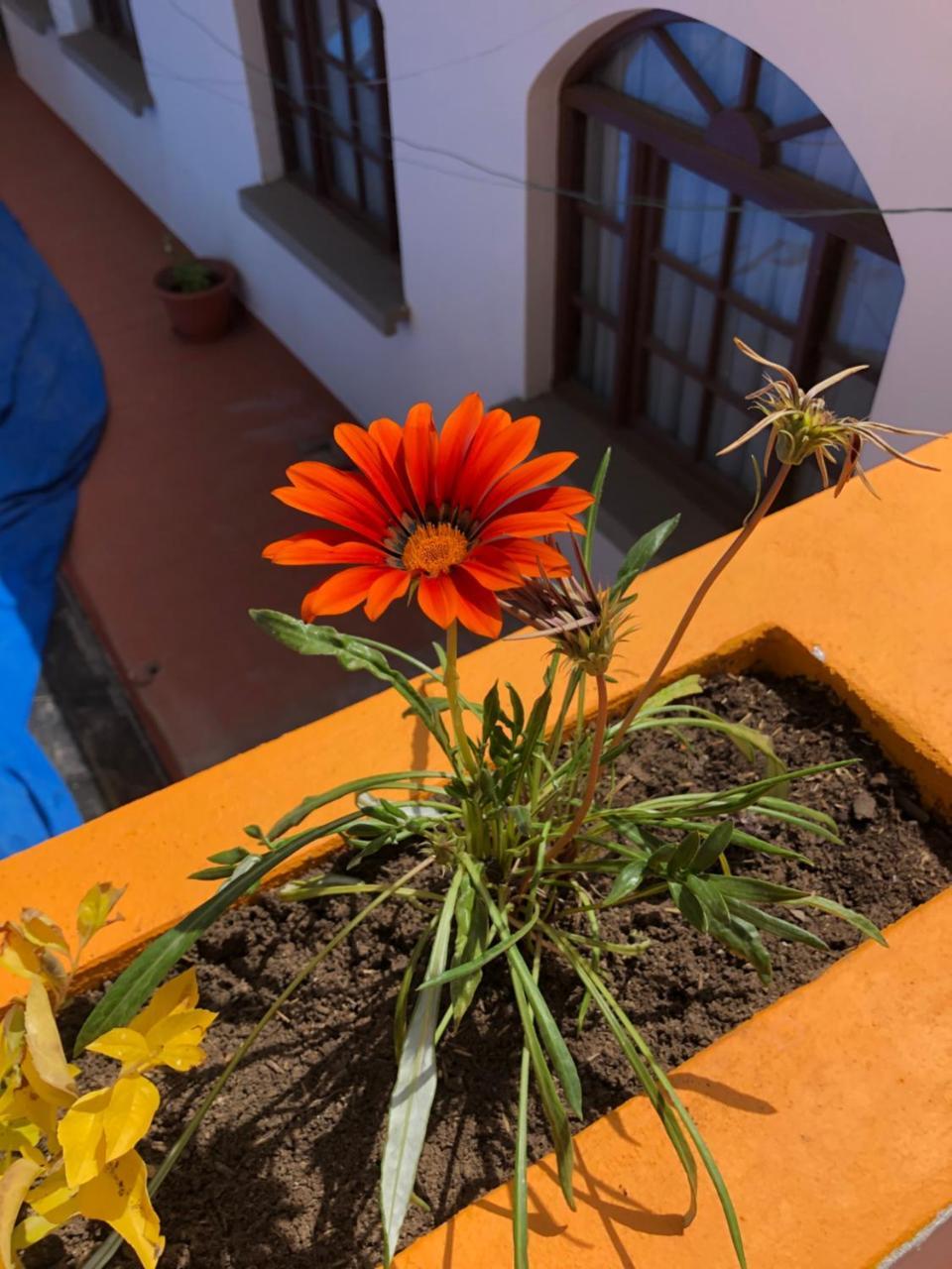 Hotel Santa Teresa Potosí Kültér fotó